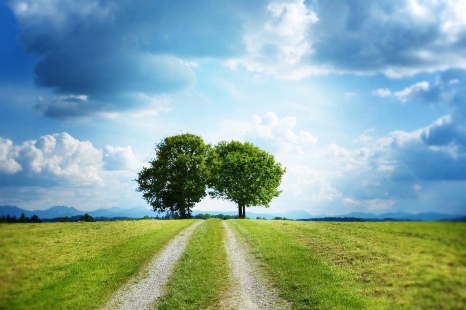 Der Weg zum Ziel
